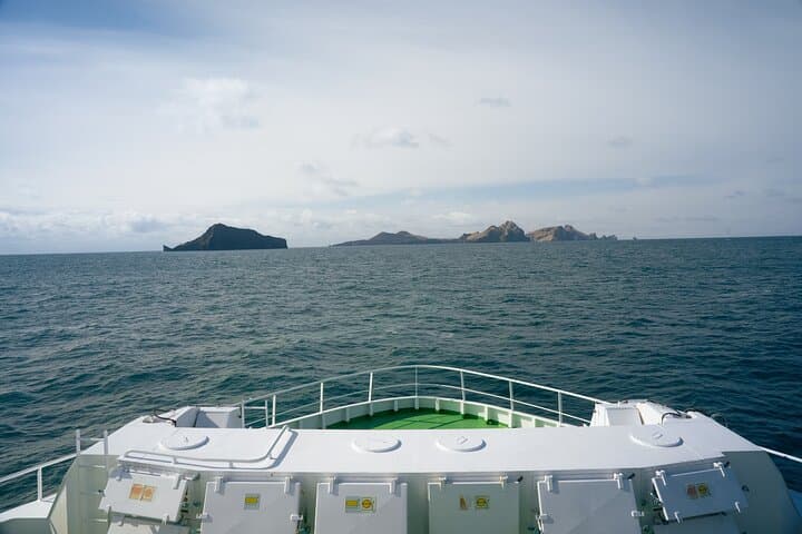 Vestmannaeyjar Puffins and Volcanoes — Day Tour from Reykjavík photo 5