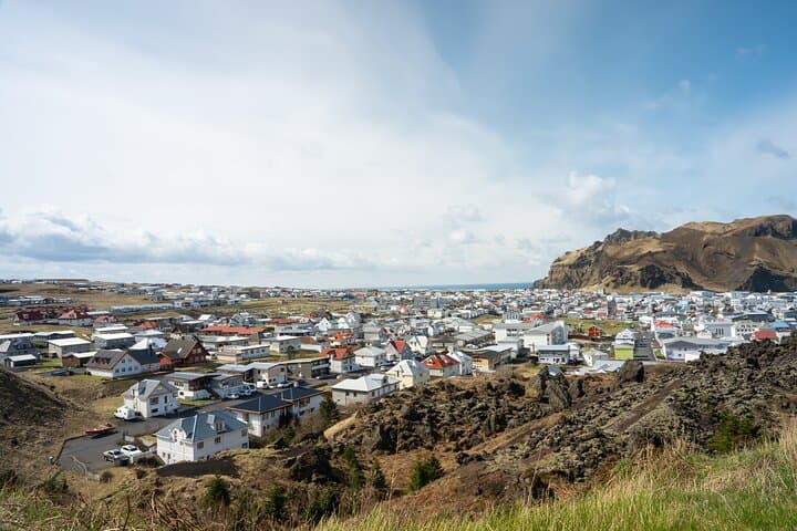 Westman Islands Day Tour: Puffins, Eldfell Volcano & Heimaey Highlights photo 2