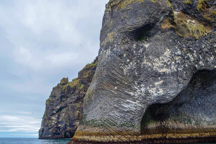 Westman Islands Day Tour: Puffins, Eldfell Volcano & Heimaey Highlights photo 4