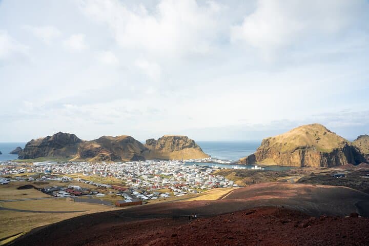 Westman Islands Day Tour: Puffins, Eldfell Volcano & Heimaey Highlights photo 6