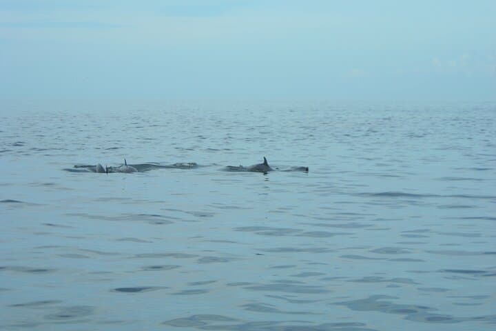 Sunset Sailing and Snorkel from Dreams Las Mareas — Santa Elena Bay Cruise photo 3