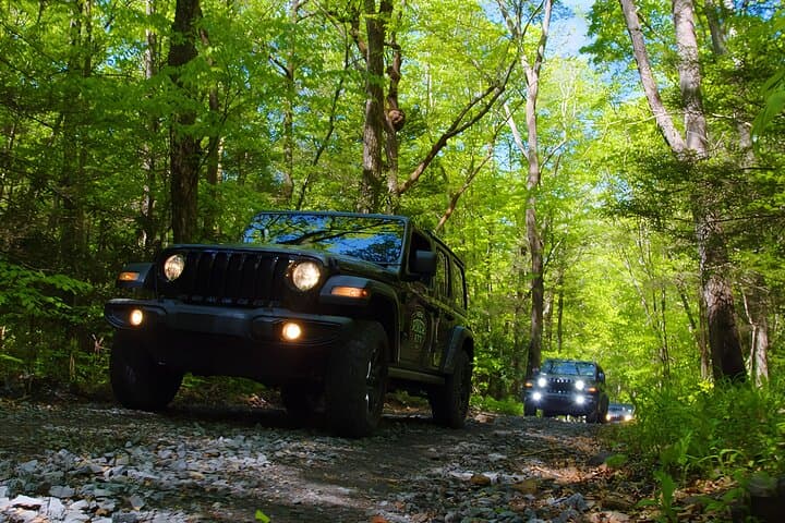 New River Gorge Jeep Tour: Half-Day Off-Road Adventure in West Virginia photo 2