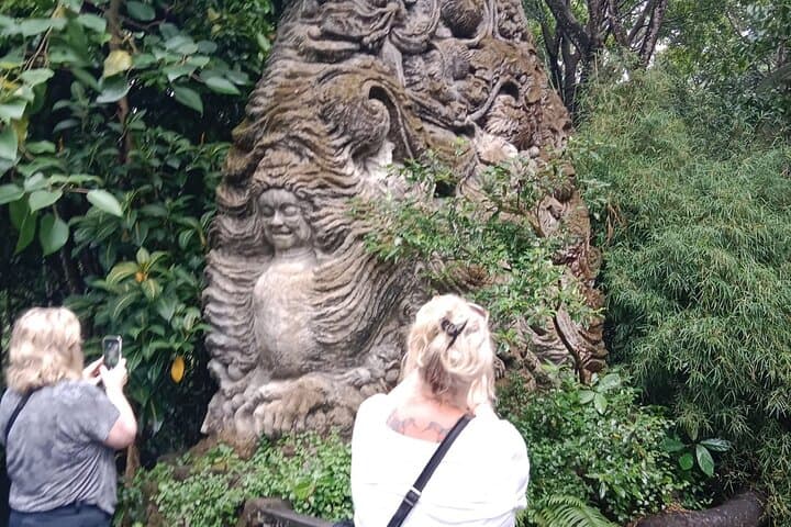 Ubud Rice Terraces & Jungle Swing: Private Full-Day Tour to Tegalalang, Gunung Kawi & Tegenungan photo 4
