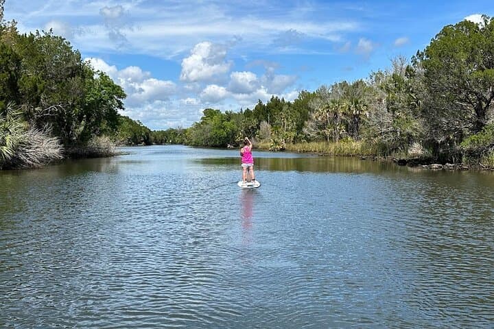 Backland Alligator Electric Paddle Tour at Crystal River Preserve