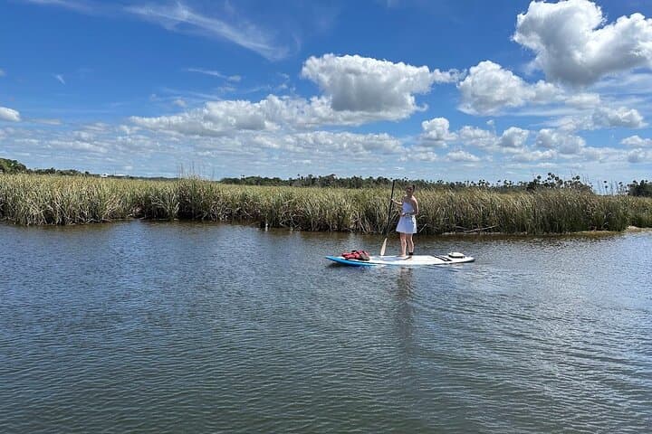 Backland Alligator Electric Paddle Tour at Crystal River Preserve photo 2