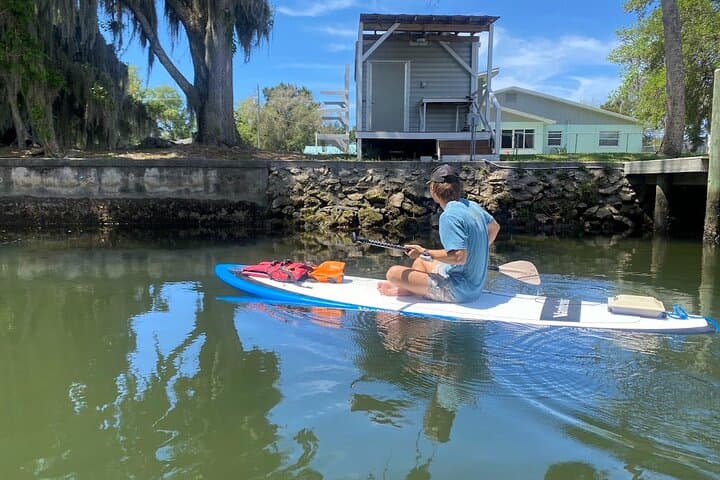 Backland Alligator Electric Paddle Tour at Crystal River Preserve photo 3