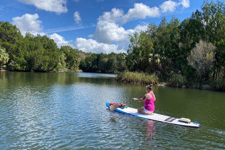 Backland Alligator Electric Paddle Tour at Crystal River Preserve photo 4