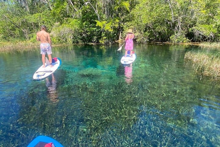 Electric Paddleboard Tour on Rainbow Springs: Guided eSUP Upstream Adventure photo 4