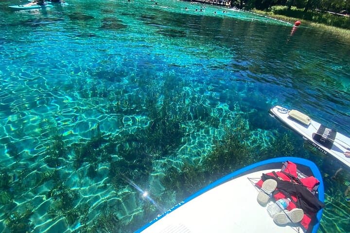 Electric Paddleboard Tour on Rainbow Springs: Guided eSUP Upstream Adventure photo 2