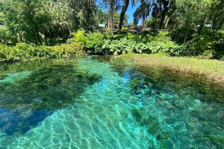 Electric Paddleboard Rentals on Rainbow River: 2-Hour eSUP from K.P. Hole Park photo 6