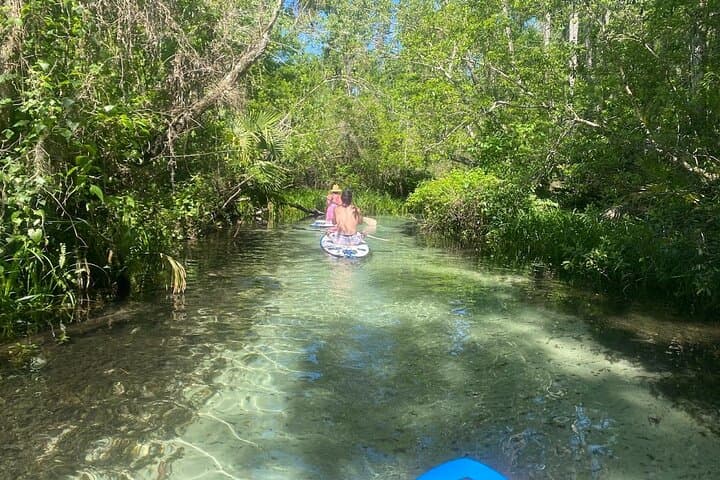 Electric Paddleboard Tour on Rainbow Springs: Guided eSUP Upstream Adventure photo 5