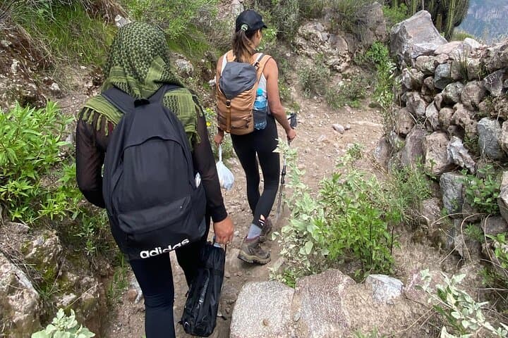 2-Day Colca Canyon Hiking Tour — Cruz del Cóndor to Sangalle Oasis