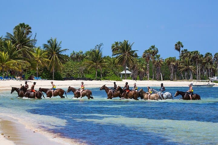 Horseback Riding and Dunn's River Falls Day Trip from Montego Bay