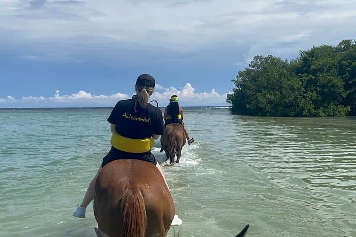 Horseback Riding and Dunn's River Falls Day Trip from Montego Bay photo 4