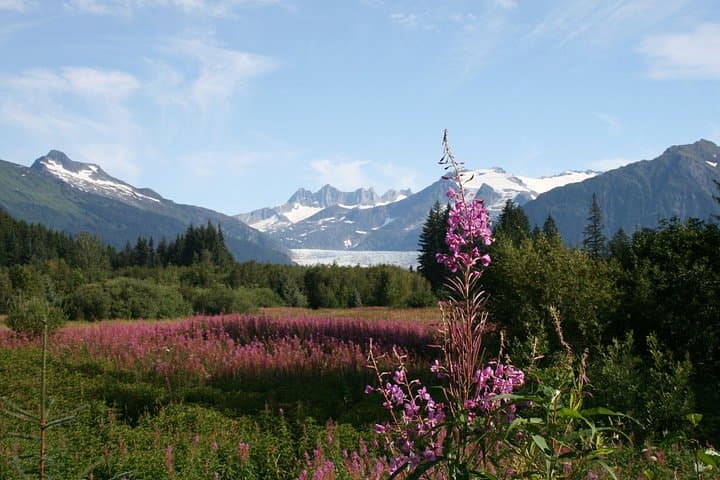 Juneau City Tour: Historic Downtown, Douglas Island & Glacier Views in 90 Minutes photo 2
