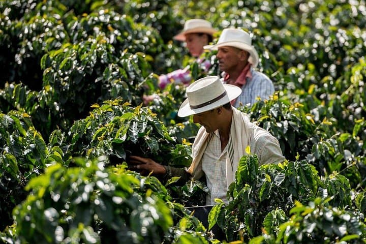 Arenal River Tubing and Coffee Plantation Tour from Guatape photo 2