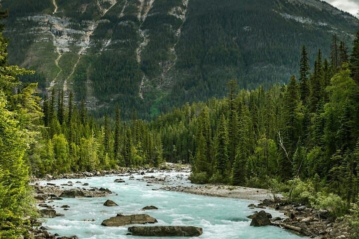 Private Day Tour from Calgary to Banff & Lake Louise — Johnston Canyon Hike photo 3