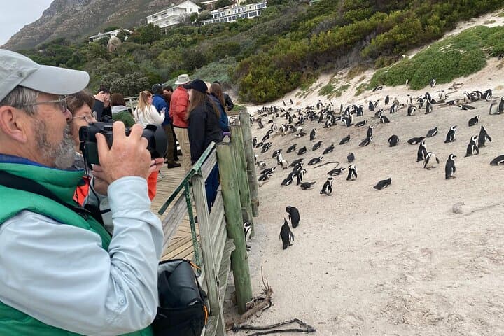 Cape Peninsula Tour and Cape of Good Hope Day Trip from Cape Town photo 6
