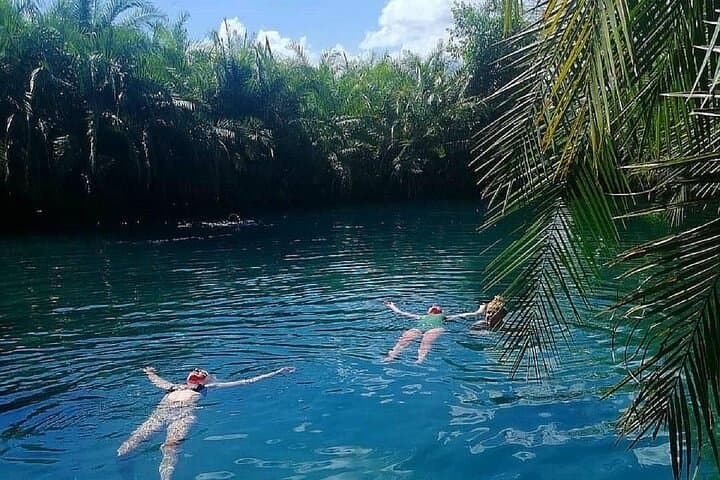 Materuni Waterfalls and Kikuletwa Hot Springs: Full-Day Waterfall, Coffee & Hot Springs Tour photo 4