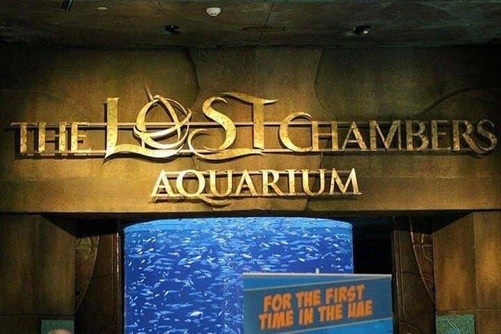 Explore the Lost Chamber Aquarium at Atlantis The Palm: Underwater Dubai Experience photo 6