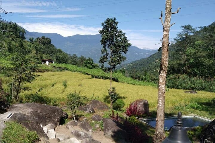 Sunrise in Darjeeling: Tiger Hill, Tea Gardens & Himalayan Dawn Tour photo 4