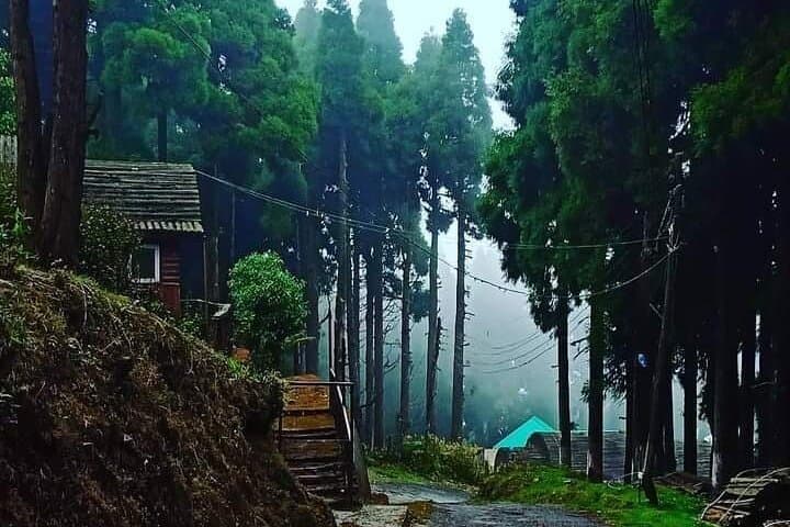 Sunrise in Darjeeling: Tiger Hill, Tea Gardens & Himalayan Dawn Tour photo 5