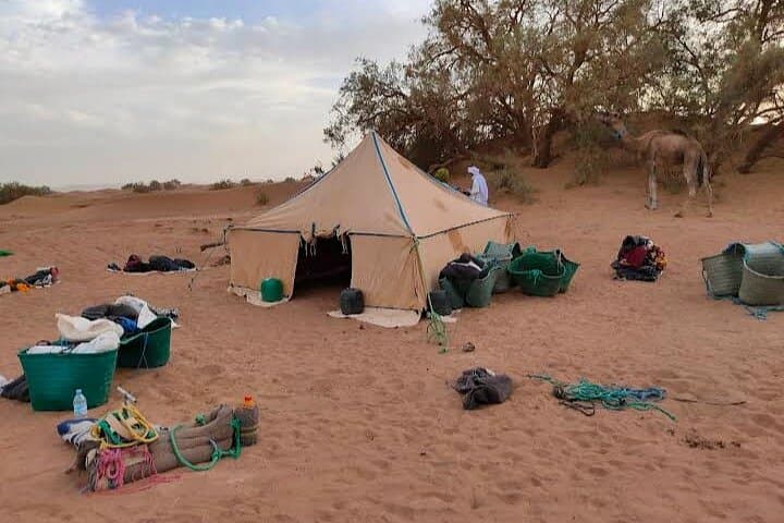 Two-Day Camel Trek Through M'Hamid's Draa Valley and Sand Dunes photo 2