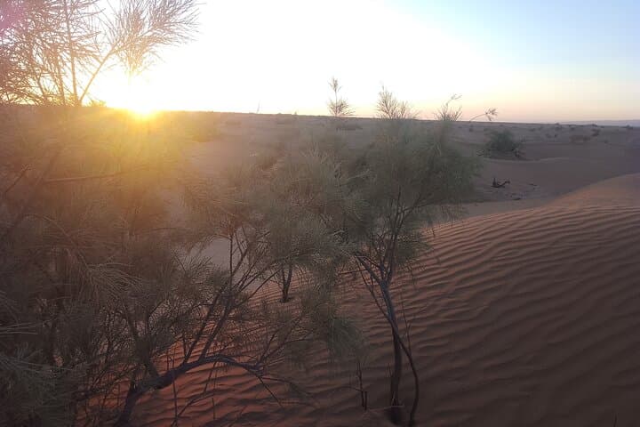 Two-Day Camel Trek Through M'Hamid's Draa Valley and Sand Dunes photo 3