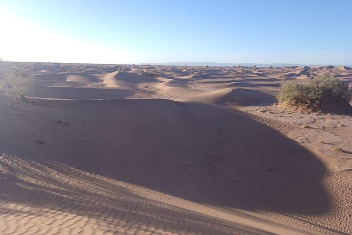 Two-Day Camel Trek Through M'Hamid's Draa Valley and Sand Dunes photo 4