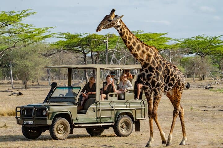 2-day-nyerere-national-park-safari-from-zanzibar