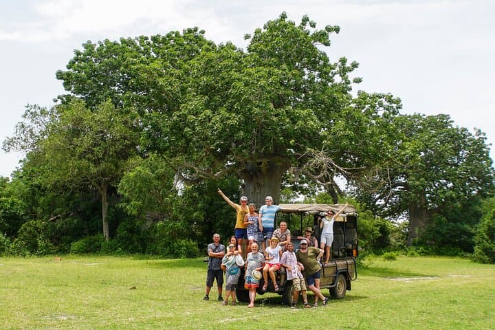 2-day-nyerere-national-park-safari-from-zanzibar photo 2