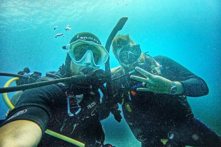 Island Wreck & Reef Scuba Excursion in St. Thomas — 2-Tank Certified Dive photo 4