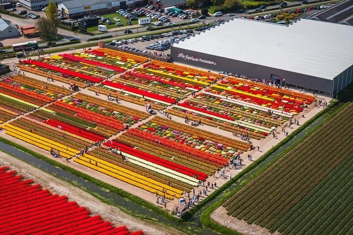 Private Keukenhof Tulip Experience: 5-Hour Guided Tour from Amsterdam photo 2