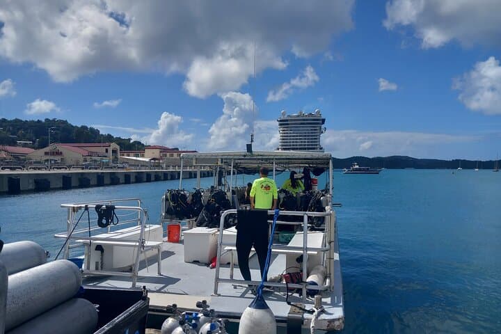 Island Wreck & Reef Scuba Excursion in St. Thomas — 2-Tank Certified Dive photo 5