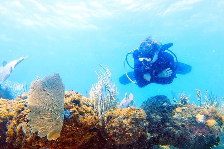 Island Wreck & Reef Scuba Excursion in St. Thomas — 2-Tank Certified Dive