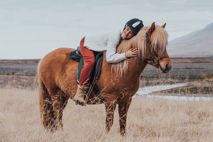 Viking Horse Riding Experience in North Iceland — Akureyri Fjord Trail photo 5