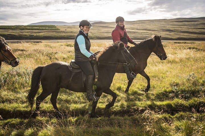 Viking Horse Riding Experience in North Iceland — Akureyri Fjord Trail