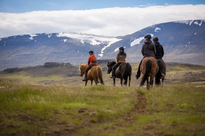 Viking Horse Riding Experience in North Iceland — Akureyri Fjord Trail photo 2