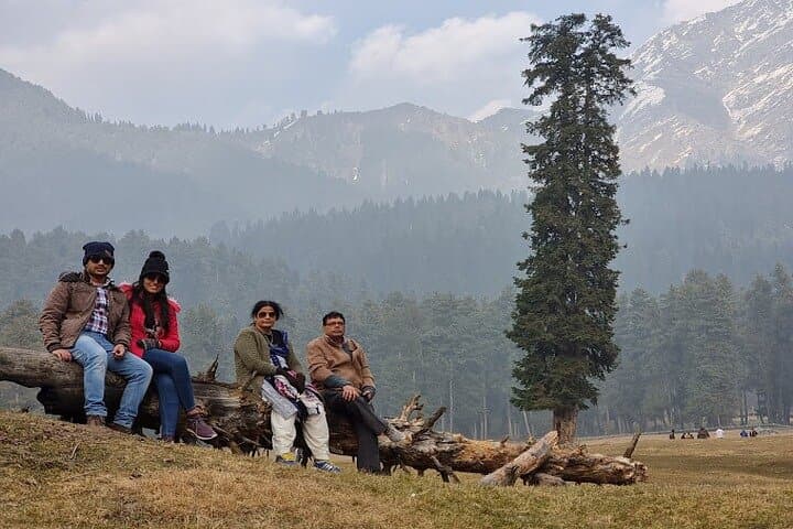 6-Day Private Kashmir Tour: Srinagar, Gulmarg, Pahalgam & Sonamarg photo 3