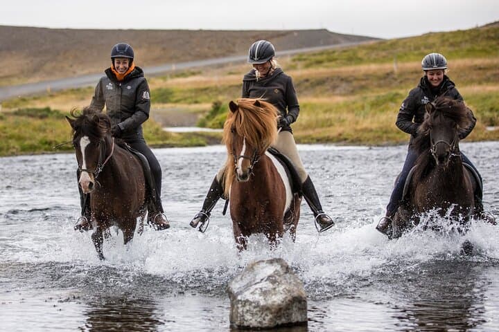 Viking Horse Riding Experience in North Iceland — Akureyri Fjord Trail photo 3