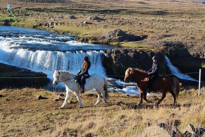 Viking Horse Riding Experience in North Iceland — Akureyri Fjord Trail photo 6