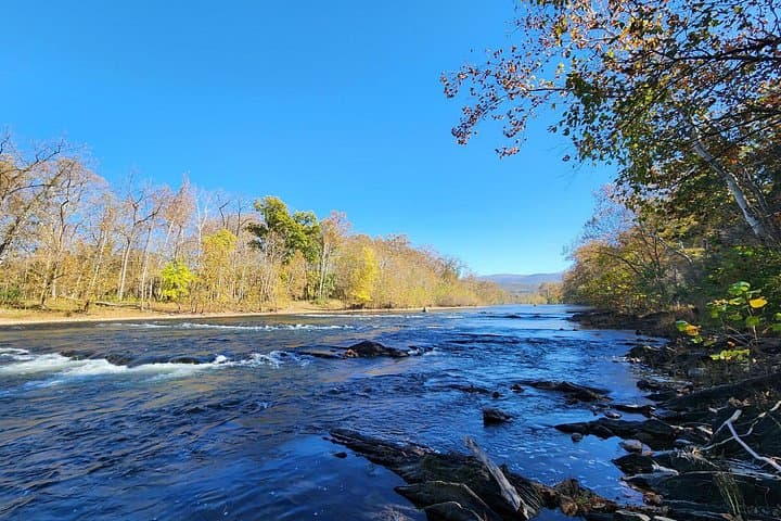 Shenandoah River Kayak Rental near Luray — 8-Mile South Fork Adventure photo 2