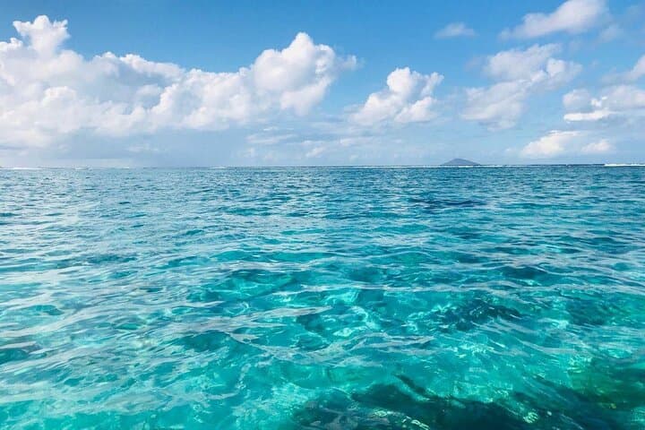 Ile Aux Cerfs Catamaran Cruise from Trou d'Eau Douce — Lunch, Snorkel & Open Bar