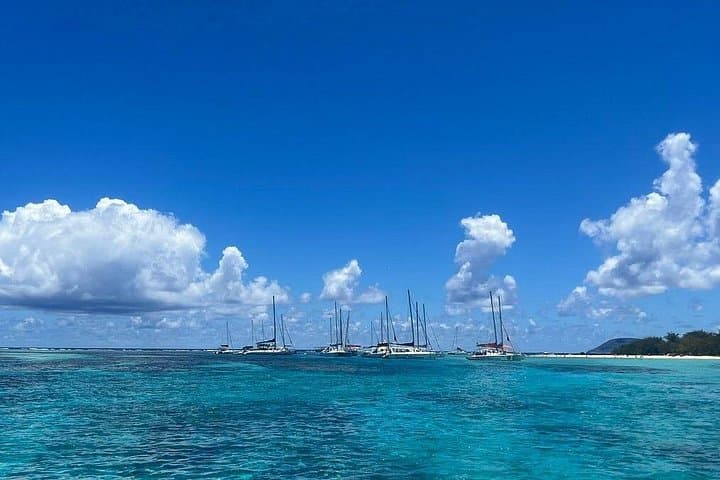 Ile Aux Cerfs Catamaran Cruise from Trou d'Eau Douce — Lunch, Snorkel & Open Bar photo 5