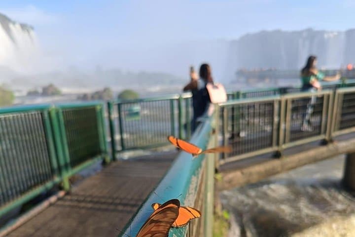 Full-Day Iguazu Falls Tour — Brazil & Argentina Small-Group Experience photo 4