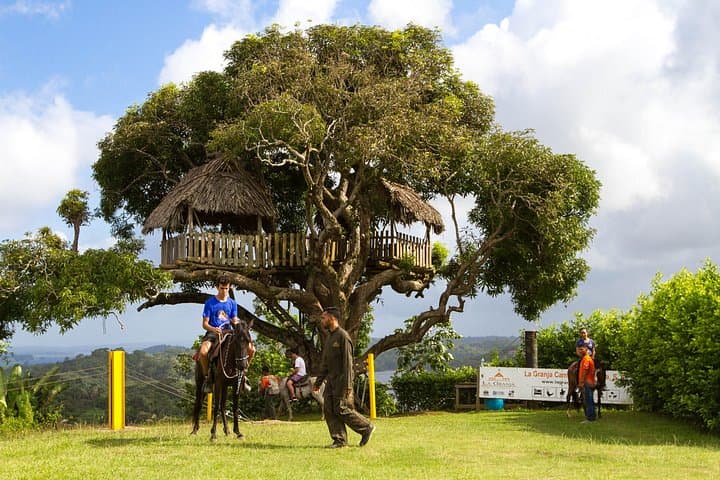 Chagres River Farm Day Tour: Suspension Bridges, Horses & River Wildlife Near Panama City photo 2