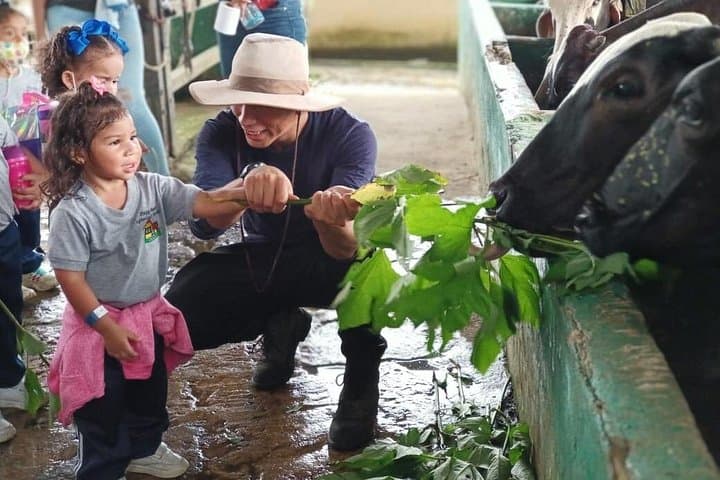 Chagres River Farm Day Tour: Suspension Bridges, Horses & River Wildlife Near Panama City photo 4