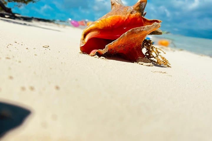 Private 4-Hour Boat Charter in Grace Bay — Snorkel Cays & Iguana Island photo 3