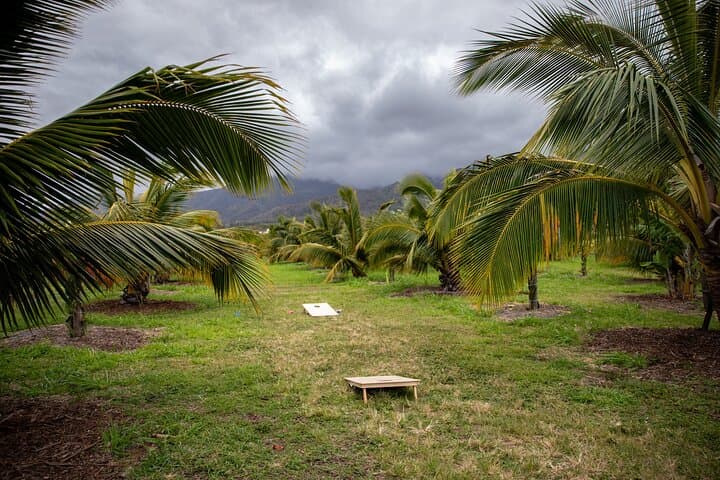 Maui Macnut & Bees Farm Tour: Solar Farm Walk, Tasting & Picnic Lunch photo 3