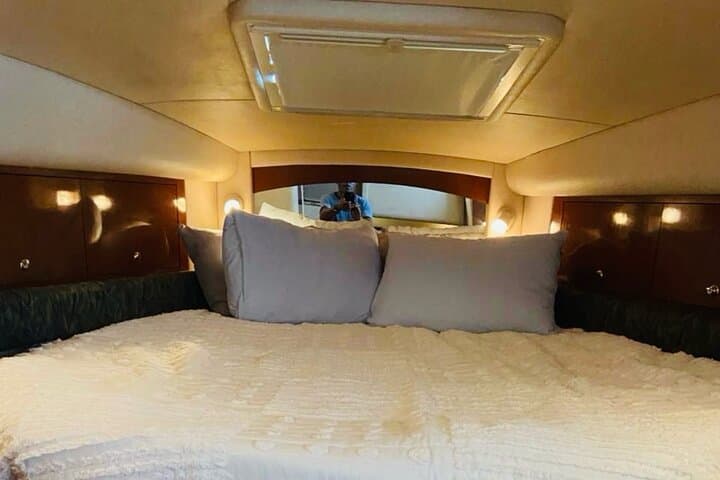 Private VIP Yacht Charter in Punta Cana — Snorkel, Dolphins & Natural Pools photo 6